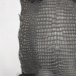 ワニ革 クロコ 半艶マット  黒　No.C009007 13枚目の画像
