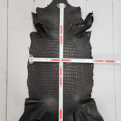 ワニ革 クロコ 半艶マット  黒　No.C009007 5枚目の画像