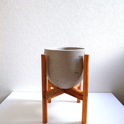 ○数量限定○ 縁起の良い木 ”万両（マンリョウ）大実万両宝船 赤実付き