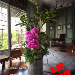 光触媒 人工観葉植物 ウォールグリーン フェイクグリーン ボールグラス