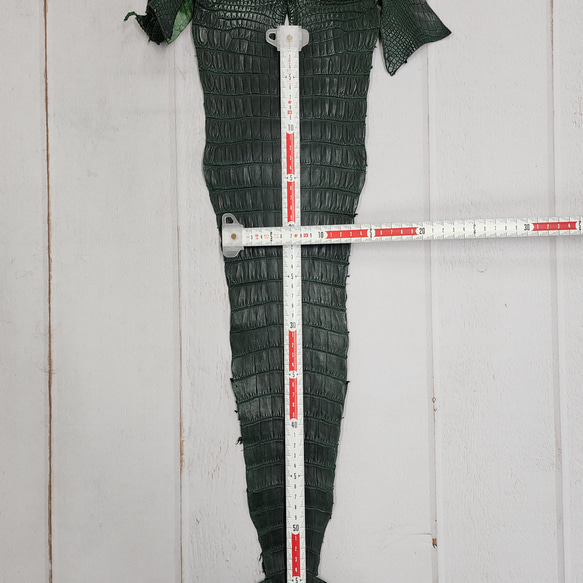 ワニ革　クロコ  半艶マット  ダークキプロス　No.C008771 7枚目の画像