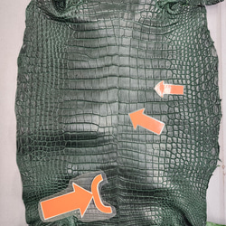 ワニ革　クロコ  半艶マット  ダークキプロス　No.C008771 10枚目の画像