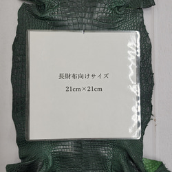 ワニ革　クロコ  半艶マット  ダークキプロス　No.C008771 8枚目の画像