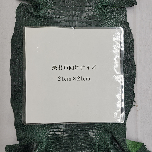 ワニ革　クロコ  半艶マット  ダークキプロス　No.C008771 8枚目の画像