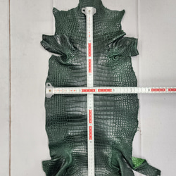 ワニ革　クロコ  半艶マット  ダークキプロス　No.C008771 6枚目の画像