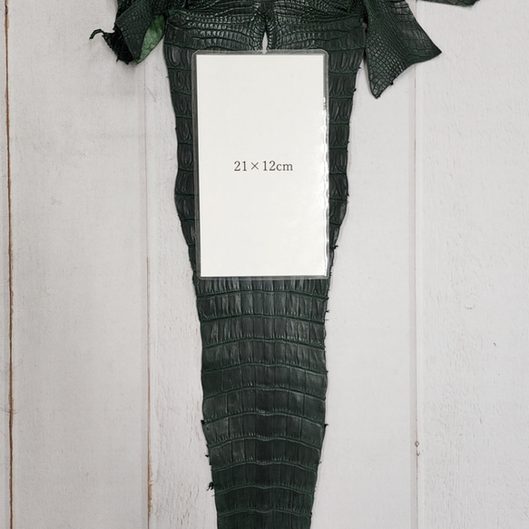 ワニ革　クロコ  半艶マット  ダークキプロス　No.C008771 9枚目の画像