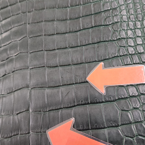 ワニ革　クロコ  半艶マット  ダークキプロス　No.C008771 12枚目の画像