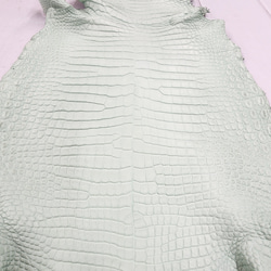 ワニ革 クロコ 半艶マット  ミントグリーン　No.C008616 11枚目の画像