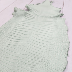 ワニ革 クロコ 半艶マット  ミントグリーン　No.C008616 10枚目の画像