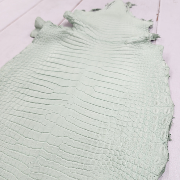 ワニ革 クロコ 半艶マット  ミントグリーン　No.C008616 10枚目の画像