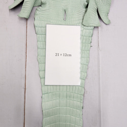 ワニ革 クロコ 半艶マット  ミントグリーン　No.C008616 9枚目の画像