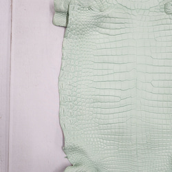 ワニ革 クロコ 半艶マット  ミントグリーン　No.C008616 12枚目の画像