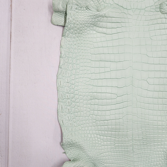 ワニ革 クロコ 半艶マット  ミントグリーン　No.C008616 12枚目の画像