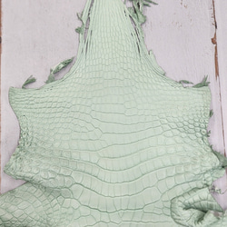 ワニ革 クロコ 半艶マット  ミントグリーン　No.C008616 3枚目の画像