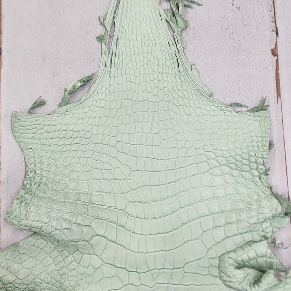 ワニ革 クロコ 半艶マット  ミントグリーン　No.C008616 3枚目の画像