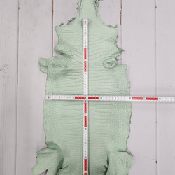 ワニ革 クロコ 半艶マット  ミントグリーン　No.C008616 6枚目の画像