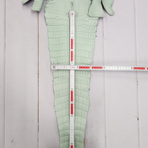 ワニ革 クロコ 半艶マット  ミントグリーン　No.C008616 7枚目の画像