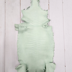 ワニ革 クロコ 半艶マット  ミントグリーン　No.C008616 1枚目の画像