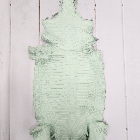 ワニ革 クロコ 半艶マット  ミントグリーン　No.C008616 1枚目の画像