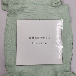 ワニ革 クロコ 半艶マット  ミントグリーン　No.C008616 8枚目の画像