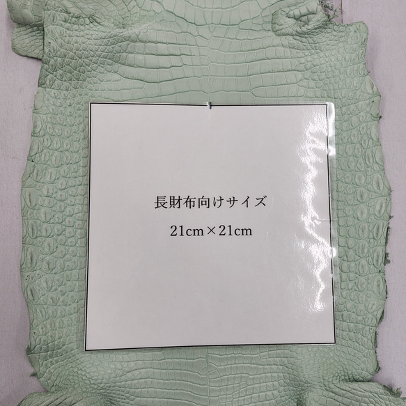 ワニ革 クロコ 半艶マット  ミントグリーン　No.C008616 8枚目の画像