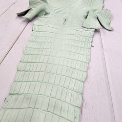 ワニ革 クロコ 半艶マット  ミントグリーン　No.C008616 14枚目の画像