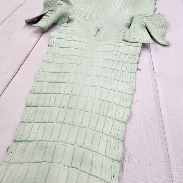 ワニ革 クロコ 半艶マット  ミントグリーン　No.C008616 14枚目の画像