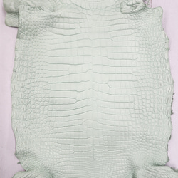 ワニ革 クロコ 半艶マット  ミントグリーン　No.C008616 4枚目の画像