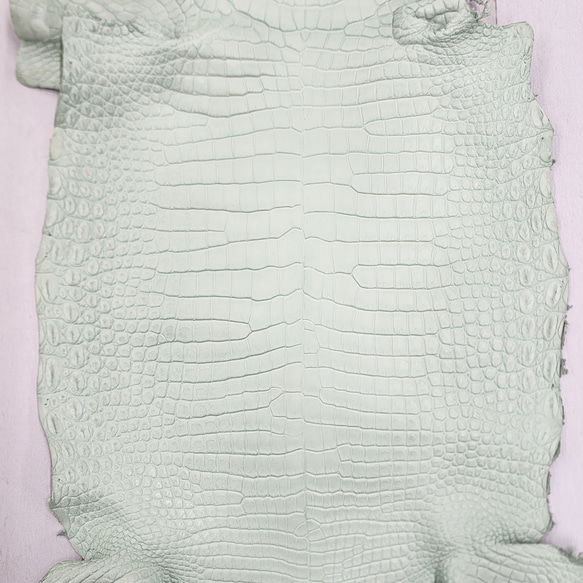 ワニ革 クロコ 半艶マット  ミントグリーン　No.C008616 4枚目の画像