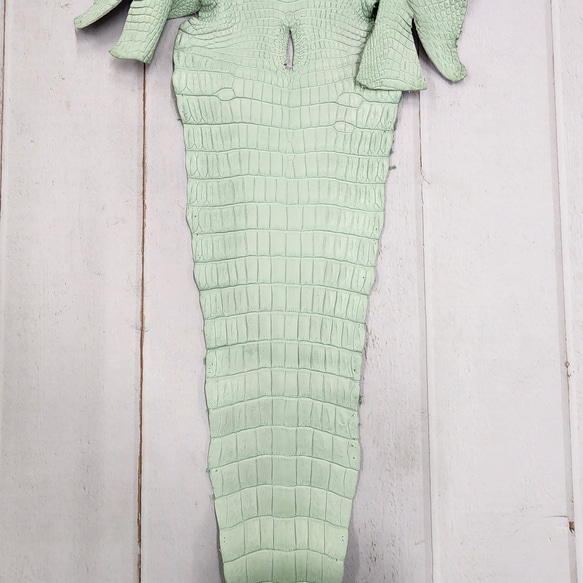 ワニ革 クロコ 半艶マット  ミントグリーン　No.C008616 5枚目の画像