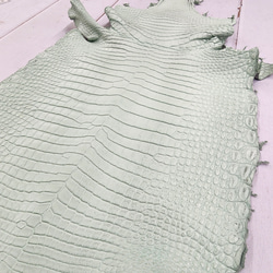 ワニ革 クロコ 半艶マット  ミントグリーン　No.C008617 12枚目の画像