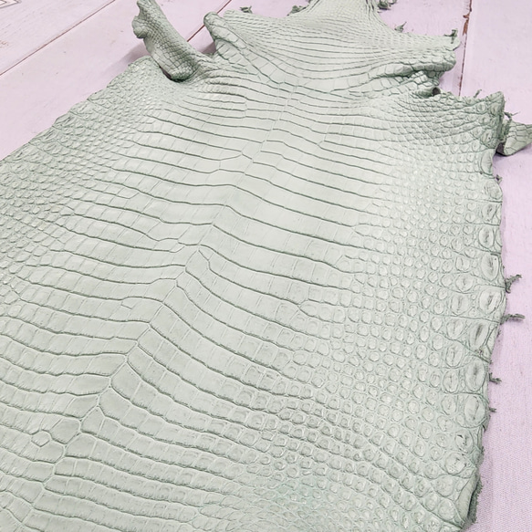 ワニ革 クロコ 半艶マット  ミントグリーン　No.C008617 12枚目の画像