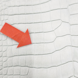 ワニ革 クロコ 半艶マット  ミントグリーン　No.C008617 10枚目の画像