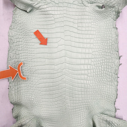 ワニ革 クロコ 半艶マット  ミントグリーン　No.C008617 9枚目の画像