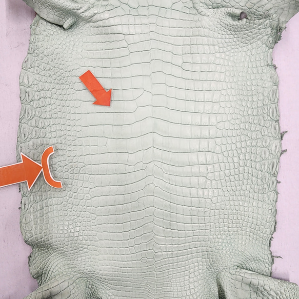 ワニ革 クロコ 半艶マット  ミントグリーン　No.C008617 9枚目の画像