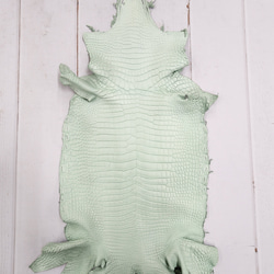 ワニ革 クロコ 半艶マット  ミントグリーン　No.C008617 1枚目の画像