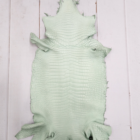 ワニ革 クロコ 半艶マット  ミントグリーン　No.C008617 1枚目の画像