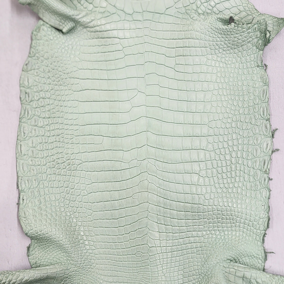 ワニ革 クロコ 半艶マット  ミントグリーン　No.C008617 4枚目の画像