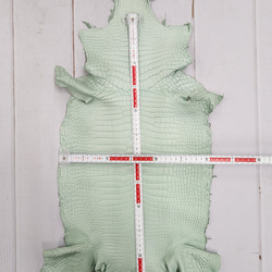 ワニ革 クロコ 半艶マット  ミントグリーン　No.C008617 6枚目の画像