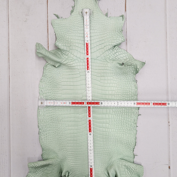 ワニ革 クロコ 半艶マット  ミントグリーン　No.C008617 6枚目の画像