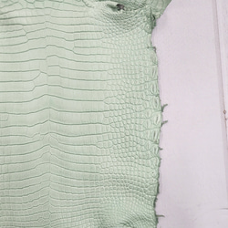 ワニ革 クロコ 半艶マット  ミントグリーン　No.C008617 15枚目の画像