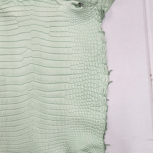 ワニ革 クロコ 半艶マット  ミントグリーン　No.C008617 15枚目の画像