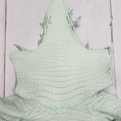 ワニ革 クロコ 半艶マット  ミントグリーン　No.C008617 3枚目の画像