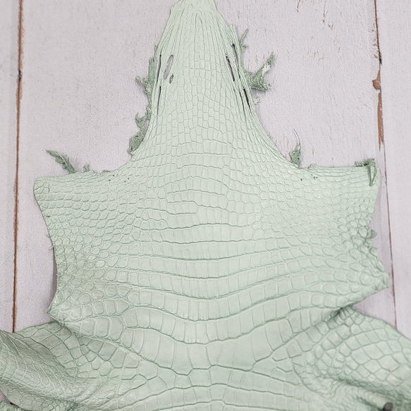 ワニ革 クロコ 半艶マット  ミントグリーン　No.C008617 3枚目の画像