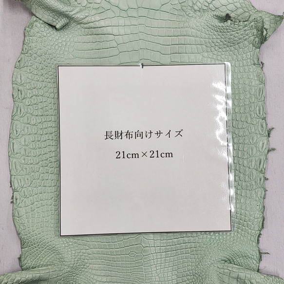 ワニ革 クロコ 半艶マット  ミントグリーン　No.C008617 8枚目の画像