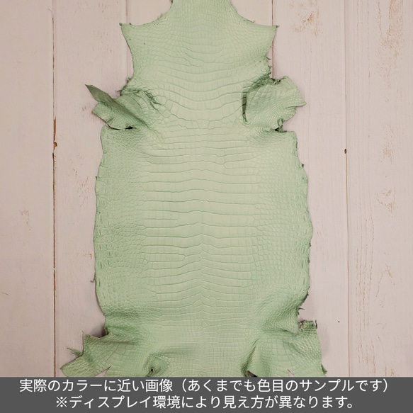 ワニ革 クロコ 半艶マット  ミントグリーン　No.C008617 2枚目の画像