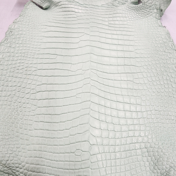 ワニ革 クロコ 半艶マット  ミントグリーン　No.C008617 13枚目の画像