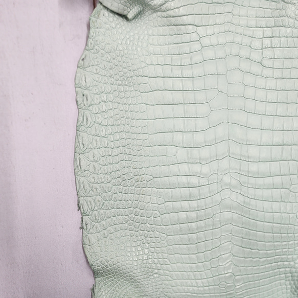 ワニ革 クロコ 半艶マット  ミントグリーン　No.C008617 14枚目の画像