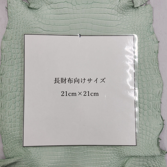 ワニ革 クロコ 半艶マット  ミントグリーン　No.C008618 8枚目の画像
