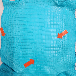 ワニ革 クロコ 半艶マット  セルリアンブルー　No.C008564 10枚目の画像